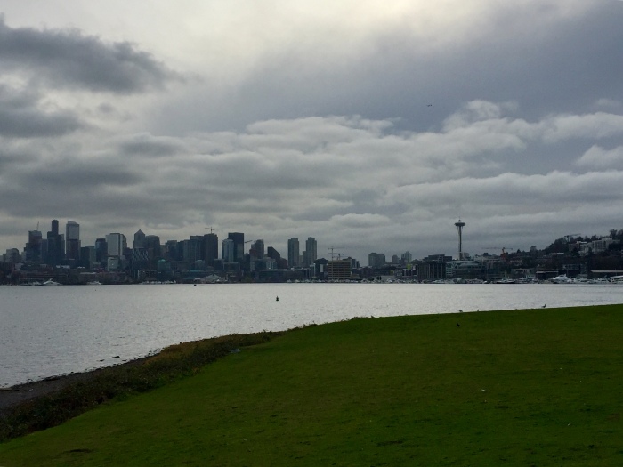 Seattle Skyline 1